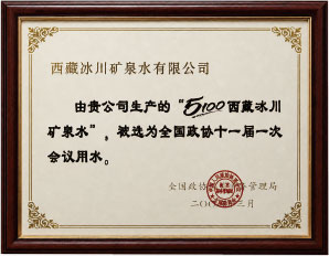 全国政协十一届一次会议用水